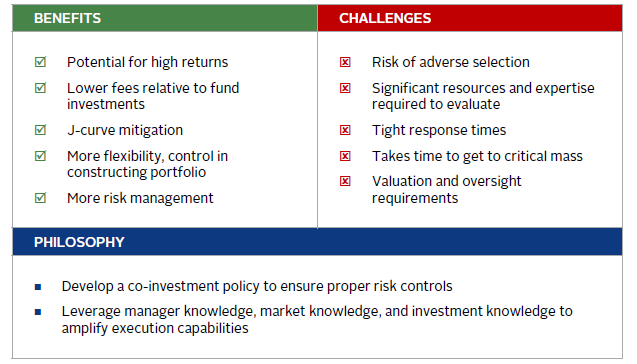 THE CO-INVESTMENT OPPORTUNITY